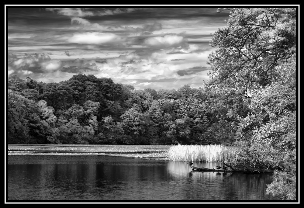 Scotland 2010   0130 s